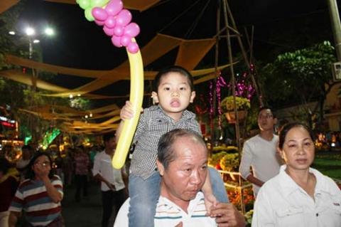 Hà Nội, TPHCM đẹp lung linh trước thời khắc giao thừa - 16