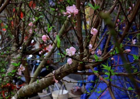 thoi-tiet3-1424241191 thoi-tiet3-1424241191