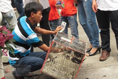 đi lễ đầu năm , đầu năm đi lễ chùa, thả chim 