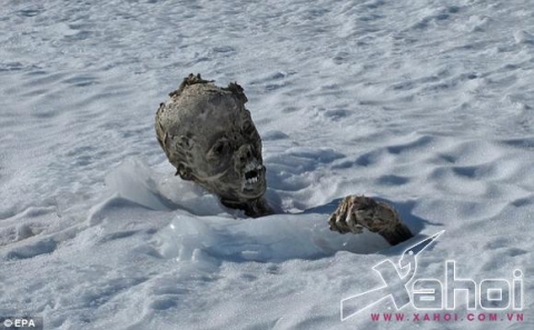 Hai xác ướp trong tư thế lạ được tìm thấy ở đỉnh núi cao nhất Mexico