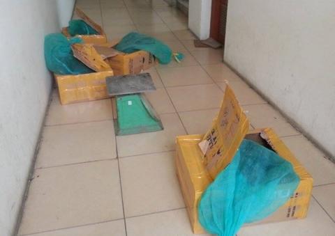 ran-ho-mang-chua-1425777781