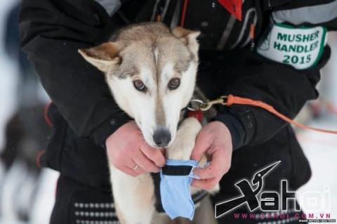 thế giới 24h qua ảnh9 thế giới qua ảnh9