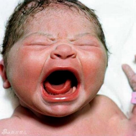 Khoảnh khắc biểu cảm ngộ nghĩnh của trẻ em mới chào đời