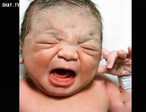 Khoảnh khắc biểu cảm ngộ nghĩnh của trẻ em mới chào đời Khoảnh khắc biểu cảm ngộ nghĩnh của trẻ em mới chào đời