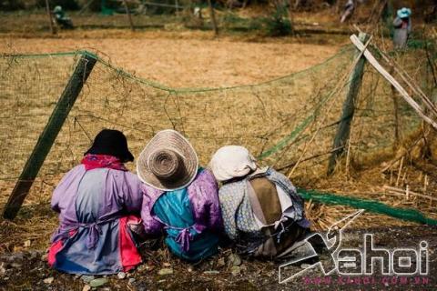 Ngôi làng kỳ lạ có người sống chung với bù nhìn