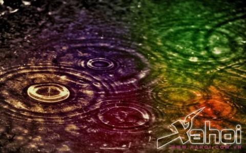 hiện tượng kỳ quái hiện tượng kỳ quái