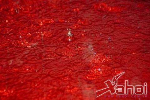 hiện tượng kỳ quái hiện tượng kỳ quái