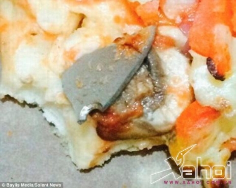 banh-pizza1-xahoi.com.vn-1427508905