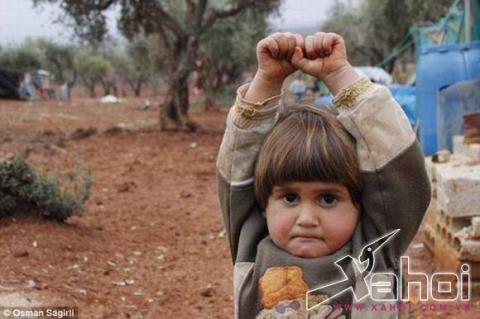 đầu hàng máy ảnh 111 đầu hàng máy ảnh 111