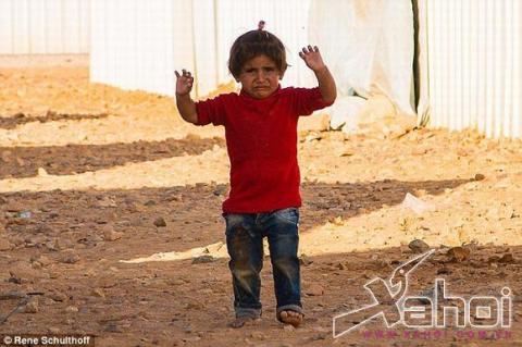 đầu hàng máy ảnh đầu hàng máy ảnh