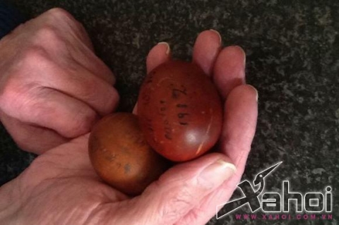 Quả trứng phục sinh nguyện vẹn kỳ lạ sau 103 năm
