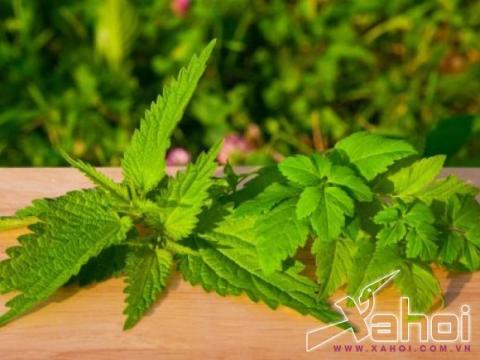 chữa bệnh ngáy ngủ