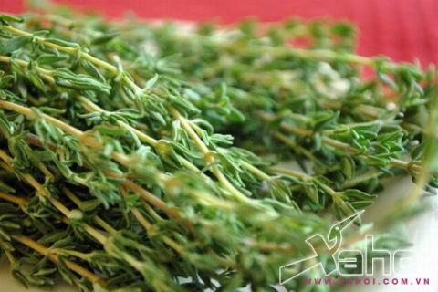 chữa bệnh ngáy ngủ