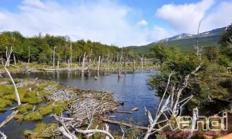 đi bộ quanh thế giới