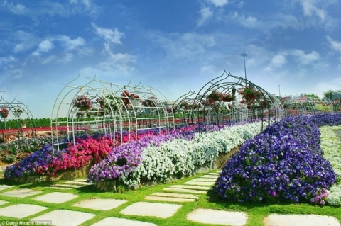 Chiêm ngưỡng vườn hoa lớn nhất thế giới 0
