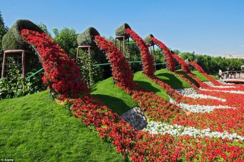 Chiêm ngưỡng vườn hoa lớn nhất thế giới 1