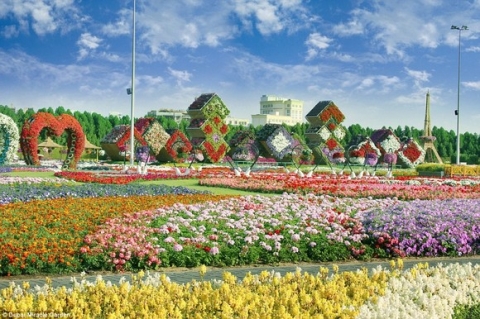 Chiêm ngưỡng vườn hoa lớn nhất thế giới 14