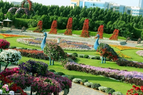 Chiêm ngưỡng vườn hoa lớn nhất thế giới 13