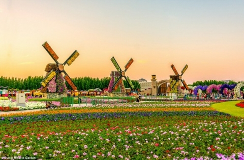 Chiêm ngưỡng vườn hoa lớn nhất thế giới 10