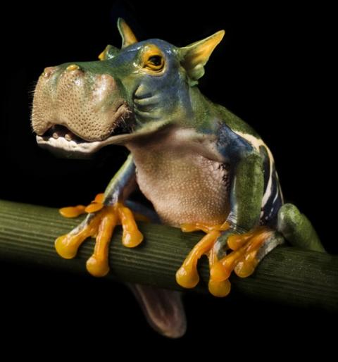 'Chết cười' với những hình ảnh động vật bị photoshop 12