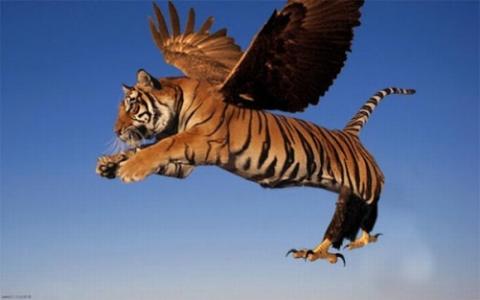 'Chết cười' với những hình ảnh động vật bị photoshop 5