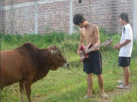 Cười té ghế với những hình ảnh chỉ có ở Việt Nam 8