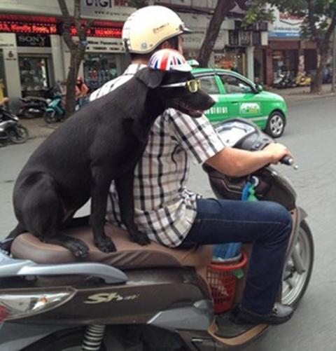 Cười té ghế với những hình ảnh chỉ có ở Việt Nam 17