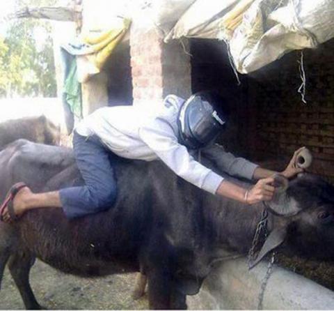 Cười té ghế với những hình ảnh chỉ có ở Việt Nam 7