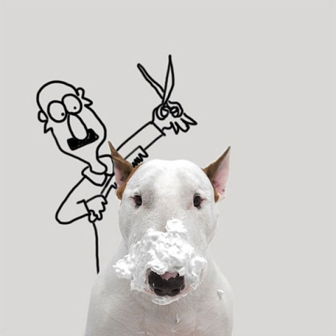 Lộ một loạt ảnh nóng của chú chó  Jimmy Choo
