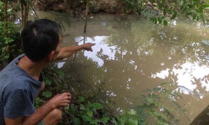 hientruongvu-xahoi.com.vn-1441520238