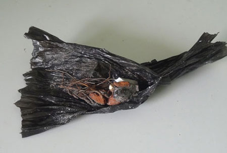 thuoc-xahoi.com.vn-1442397040