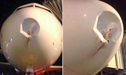 chimdam-xahoi.com.vn-1443663072