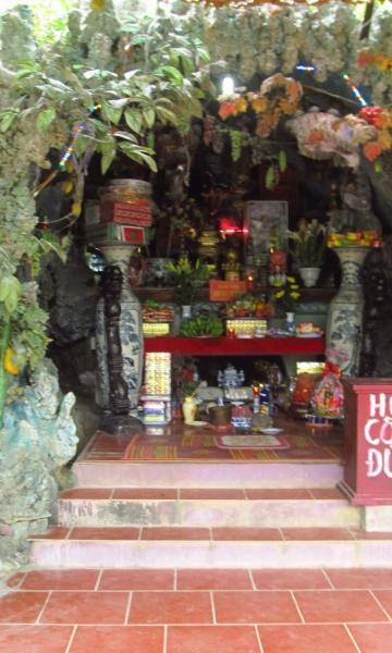 '. Nữ đại gia bỏ gia sản trăm tỷ lên núi sống với thú rừng .'