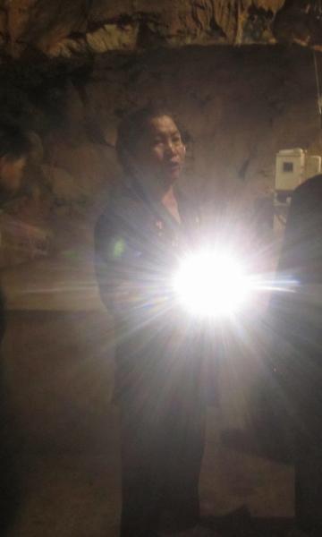 '. Nữ đại gia bỏ gia sản trăm tỷ lên núi sống với thú rừng .'