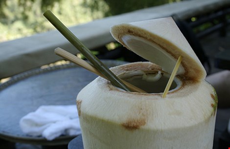 tai sao nuoc dua tot cho ba bau? - 1