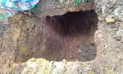 daoham-xahoi.com.vn-1454030532