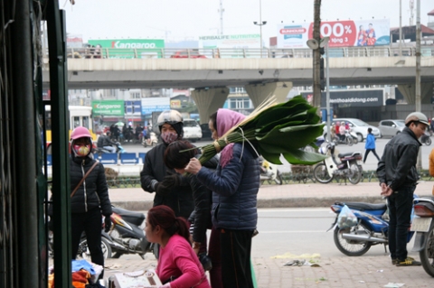 thuc pham, rau xanh tang gia nhung ngay giap tet - 7