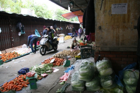 thuc pham, rau xanh tang gia nhung ngay giap tet - 4