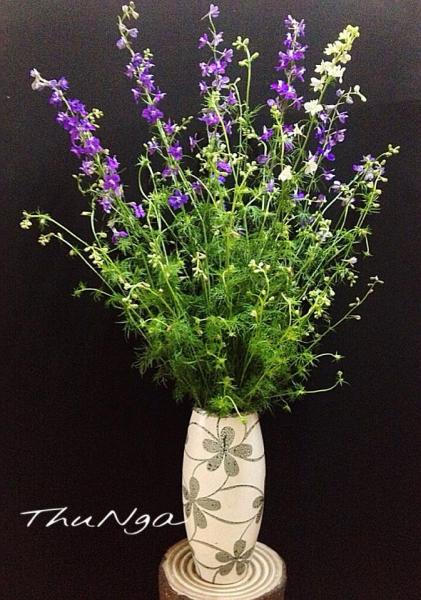 nhung loai hoa cam tet ruoc may man den nha - 2