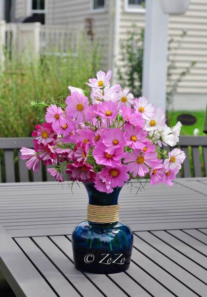 nhung loai hoa cam tet ruoc may man den nha - 4