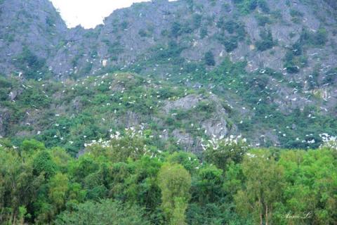 Những danh thắng Việt Nam có thể xuất hiện trong 'King Kong'