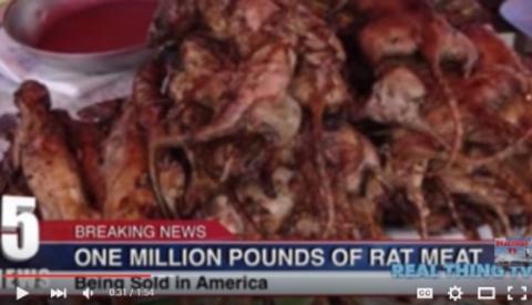Mỹ: Thu giữ 5 tấn thịt chuột dùng làm cánh gà rút xương - Ảnh 1
