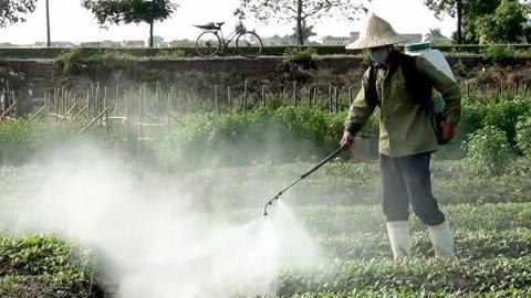 ung thư, nguyên nhân gây ung thư, thực phẩm bẩn, Nguyễn Bá Đức, thịt xiên nướng, bún chả