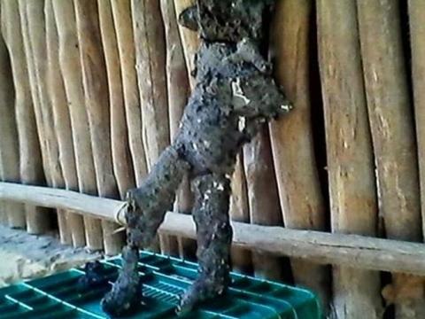 Xôn xao những xác