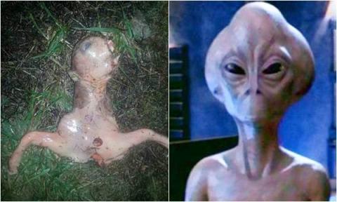 Xôn xao những xác