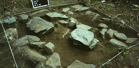 Xôn xao những xác