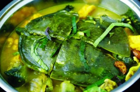 4 KHÔNG khi ăn thịt ba ba - món ăn của người ‘nhà giàu’ - Ảnh 2