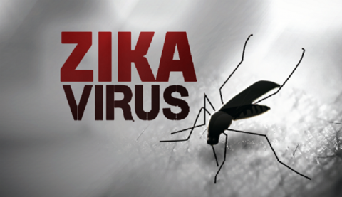 Vi sao Zika co kha nang lay lan nhanh o Viet Nam? hinh anh