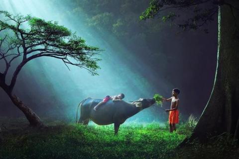 Khoanh khac vo tu cua tre em tren khap hanh tinh hinh anh