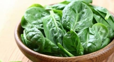Nguy hại khôn lường từ việc ăn rau mồng tơi sai cách - Ảnh 1
